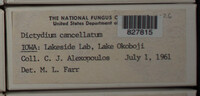 Image Associated With the Occurence
